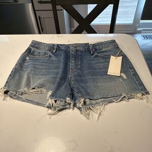 Unpublished Laine boyfriend shorts slouchy fit shorts size 27 NWOT